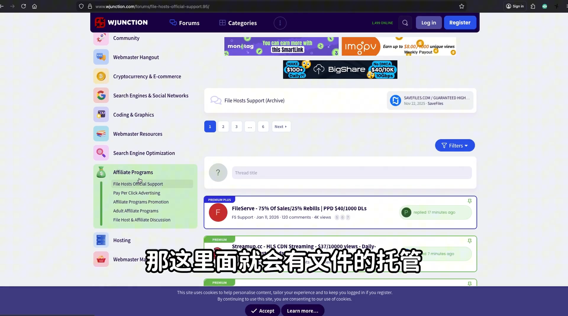 Affiliate Programs 板块 — 文件/视频托管联盟