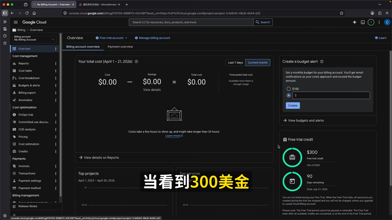 $300 试用金到账