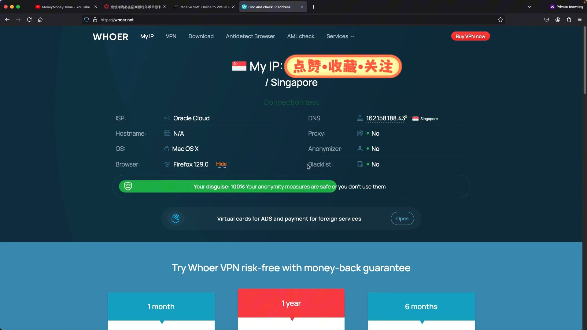 whoer.net 检测 IP 纯净度