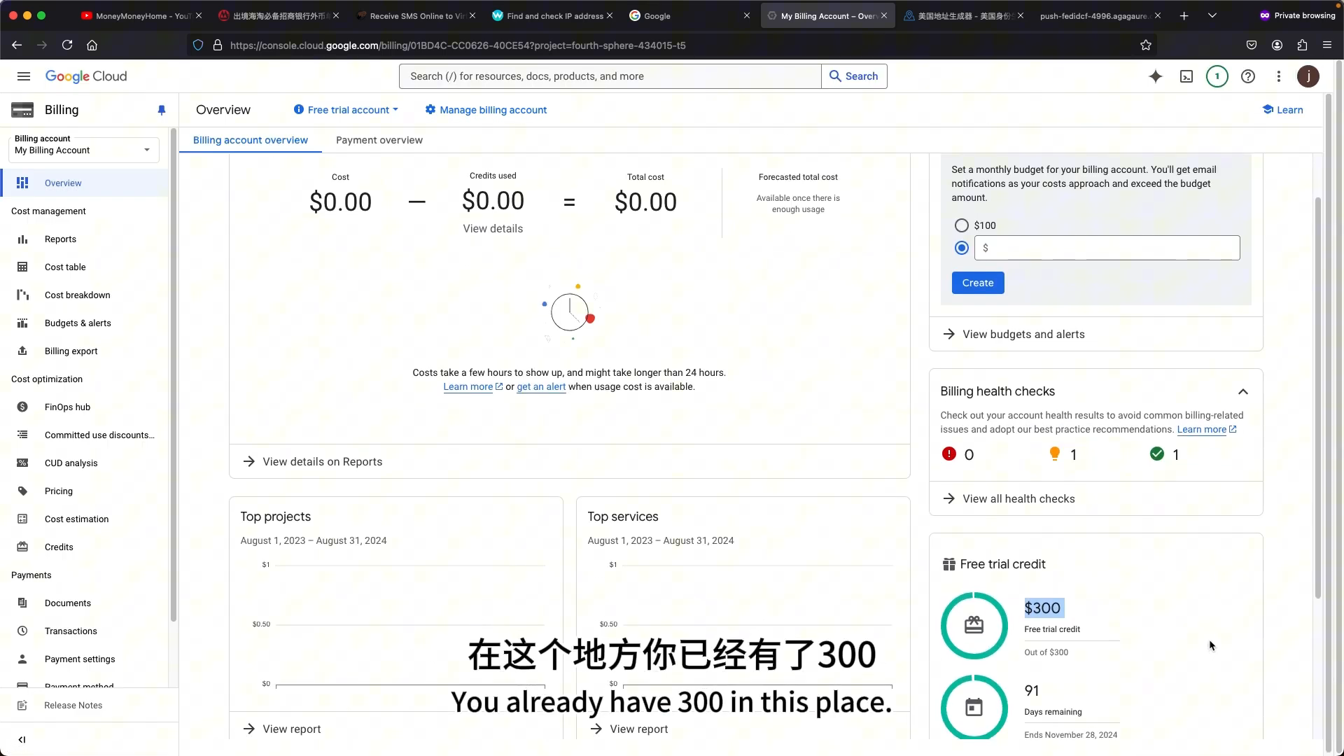 $300 试用金到账
