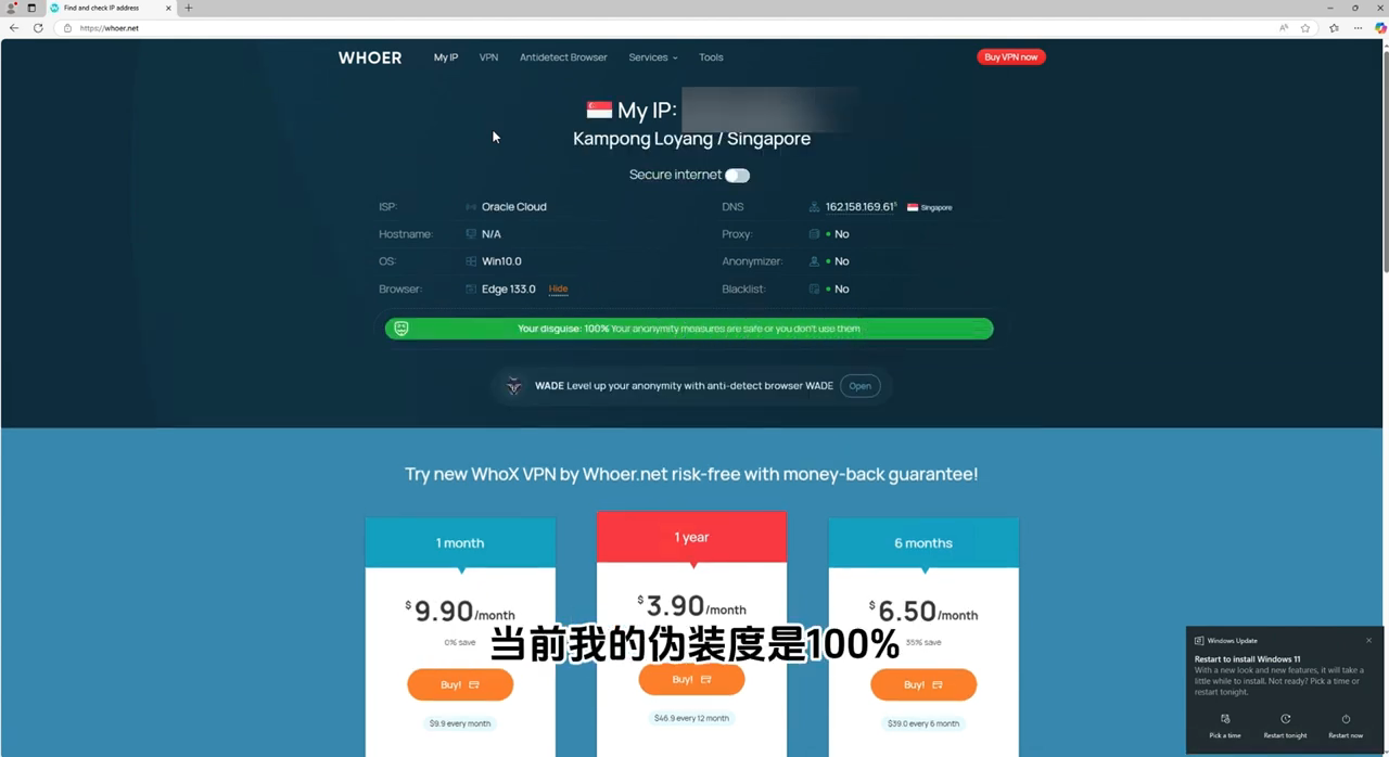 whoer.net 检测报告 — 100% 伪装度