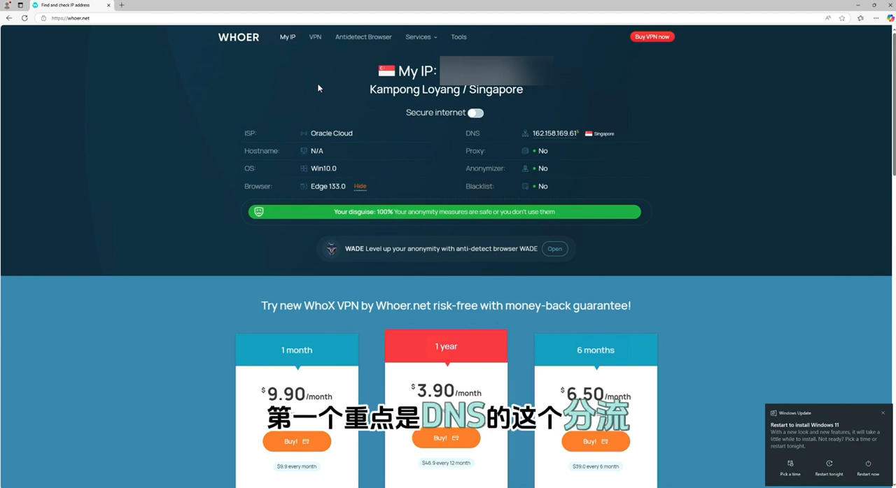 DNS 分流与 IP 分流要点