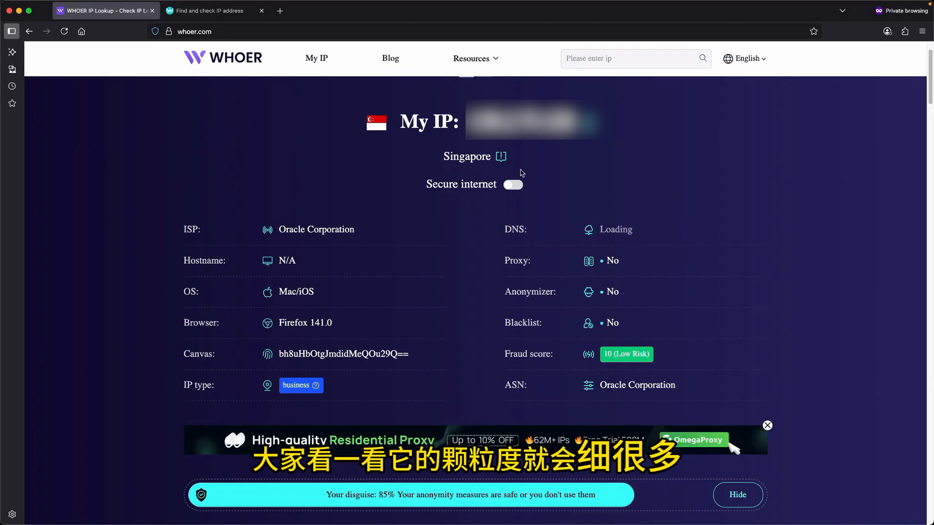 Whoer IP 类型与信誉分检测