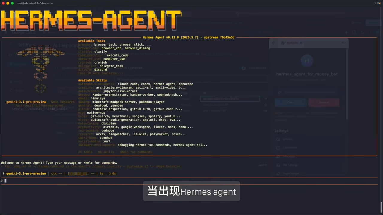 Hermes Agent 启动成功