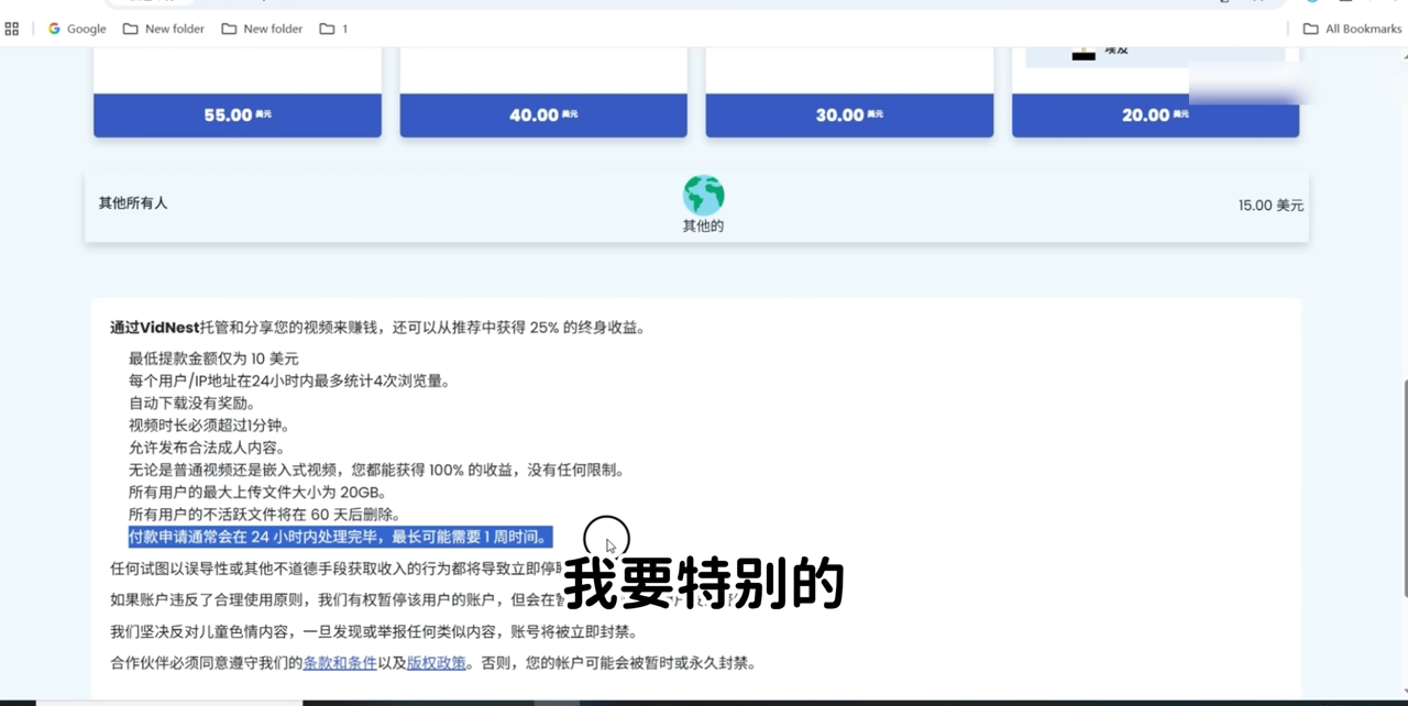 VidNest 平台规则（翻译成中文阅读）