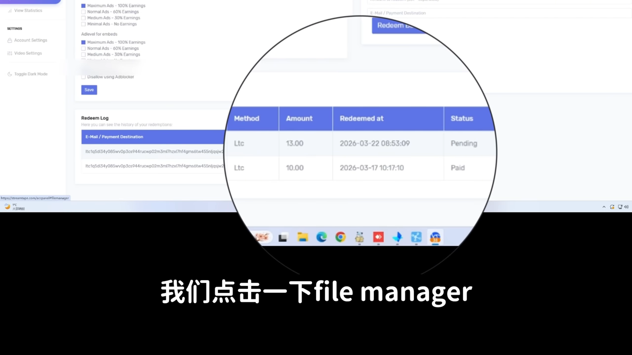 File Manager：3/13 起间歇性上传养号