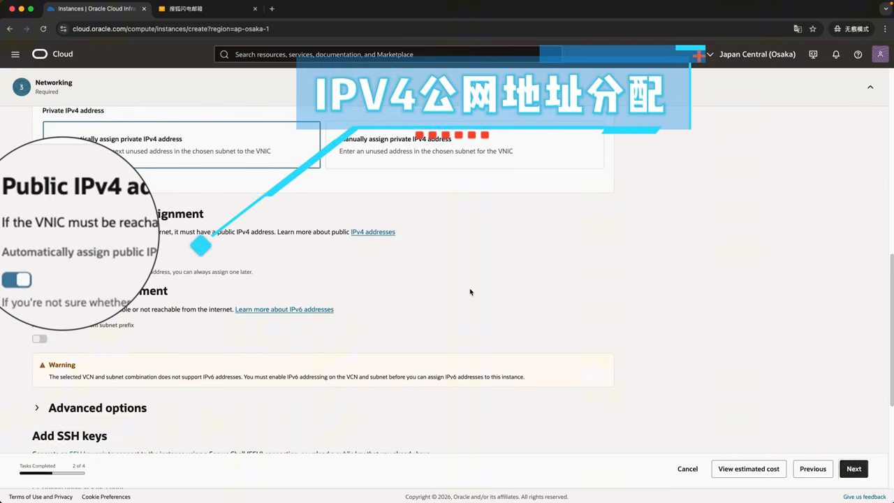 VCN + 公网 IPv4