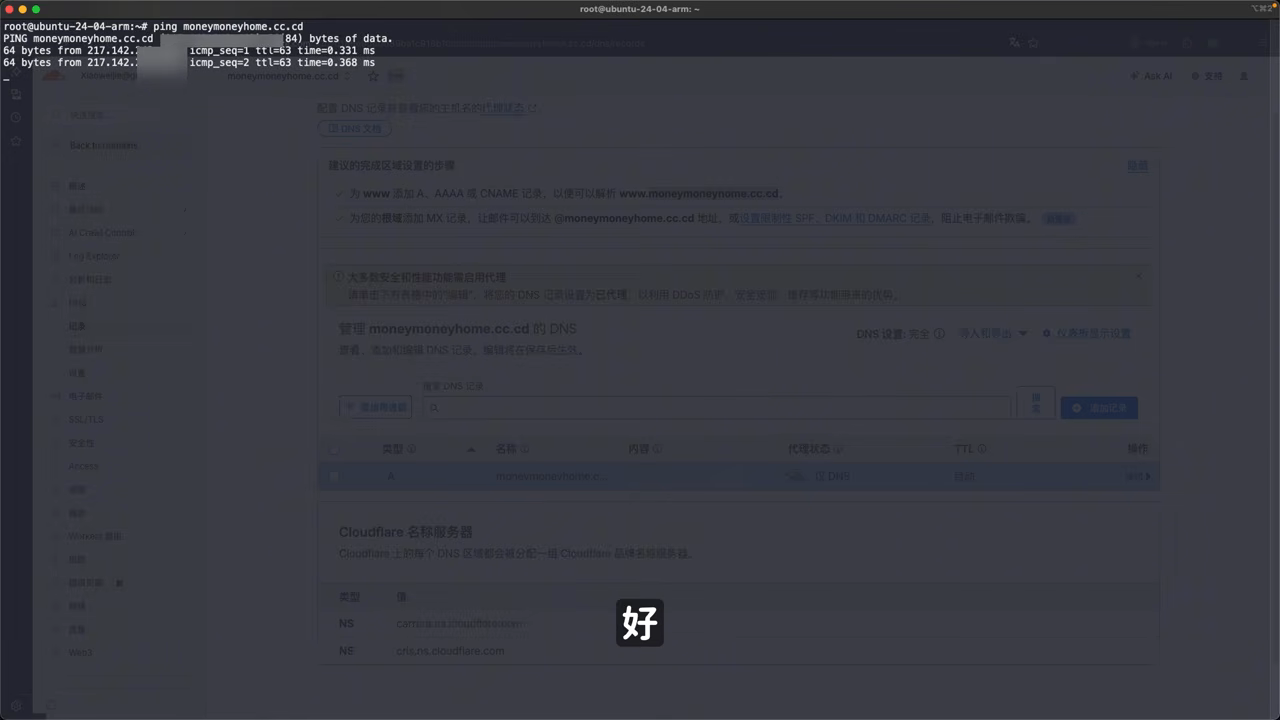 Ping 验证域名解析到 ARM 公网 IP