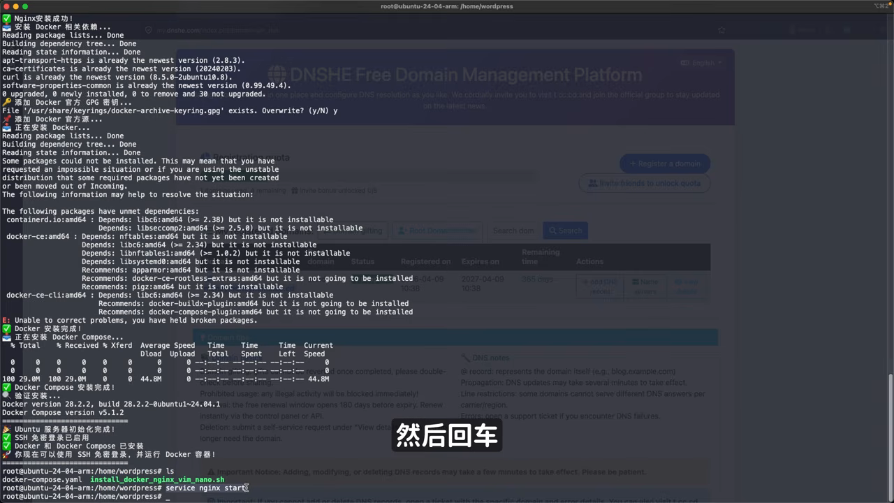 一键安装 Docker + Nginx 脚本