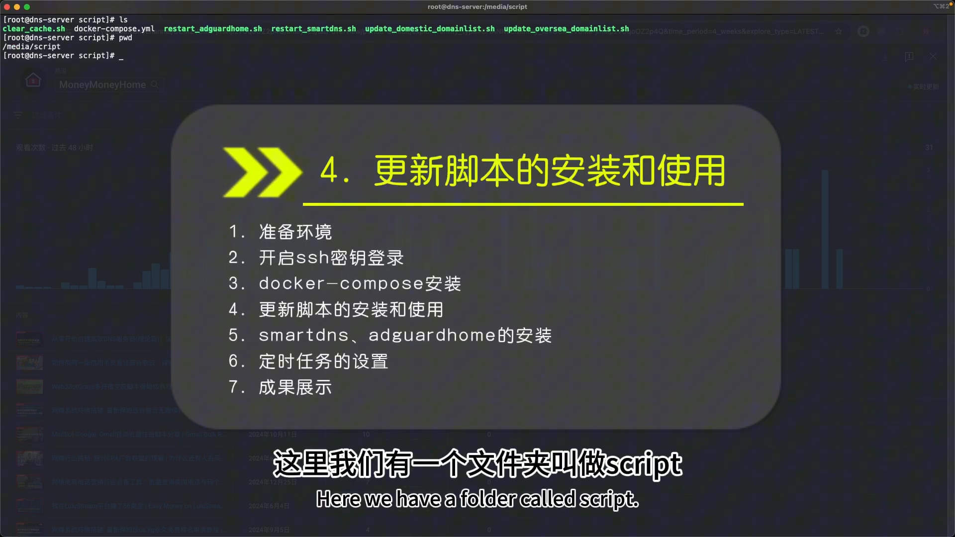 script 文件夹 — 全套脚本概览