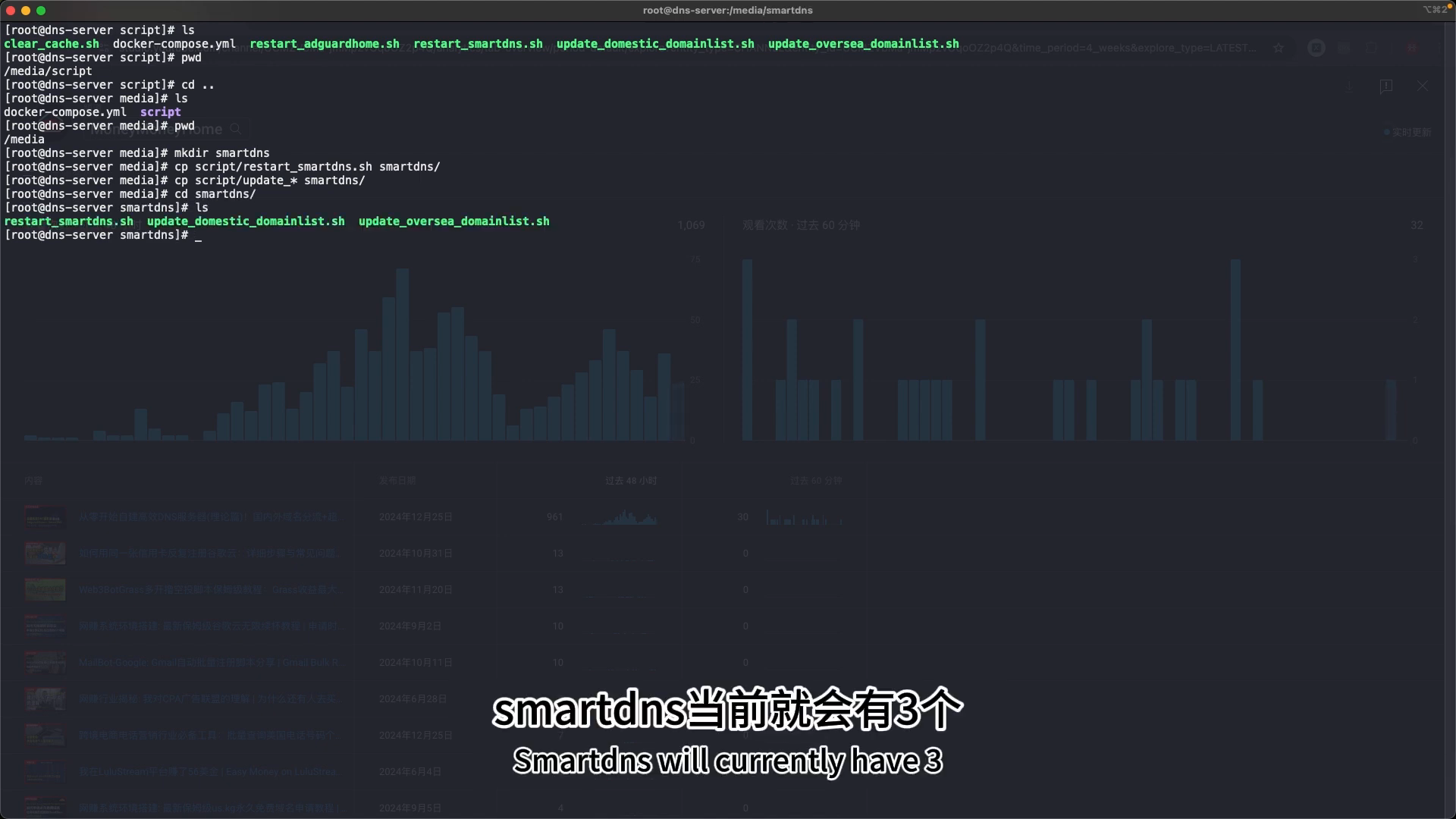 smartdns 工作目录与脚本拷贝