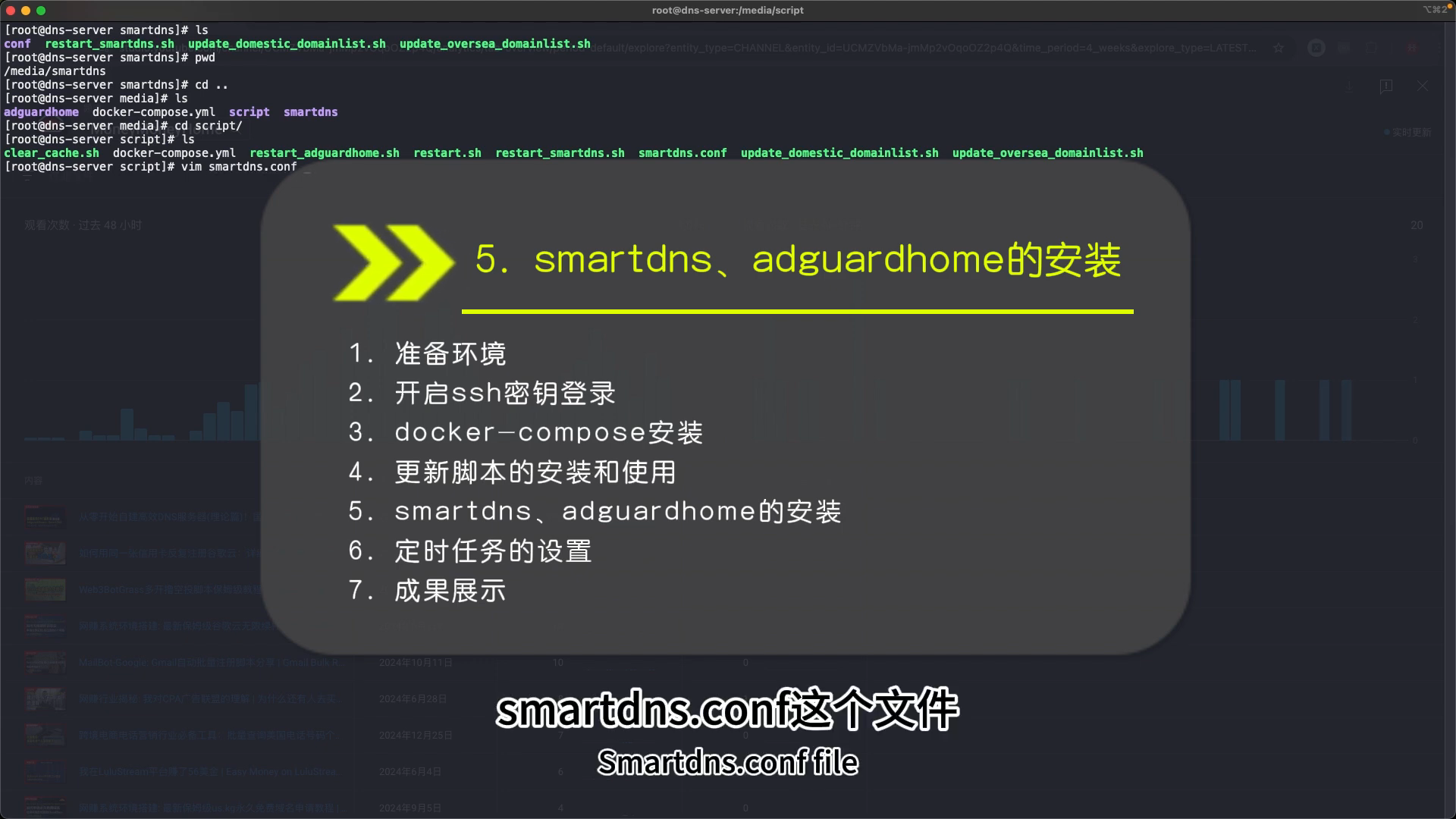 smartdns.conf 分流策略配置