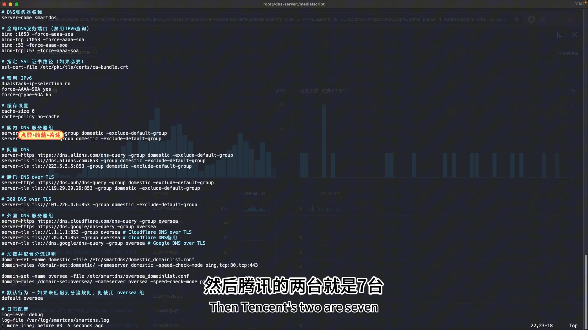国内 / 海外上游 DNS 服务器