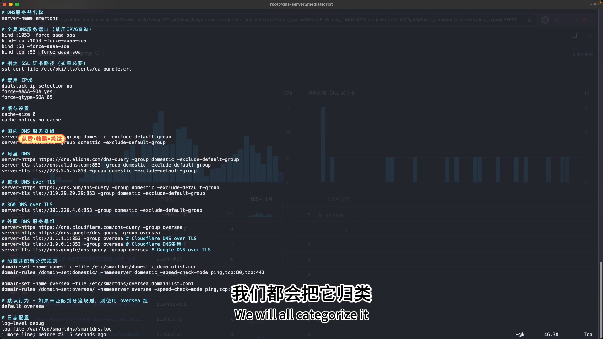 domestic / oversea 分流规则