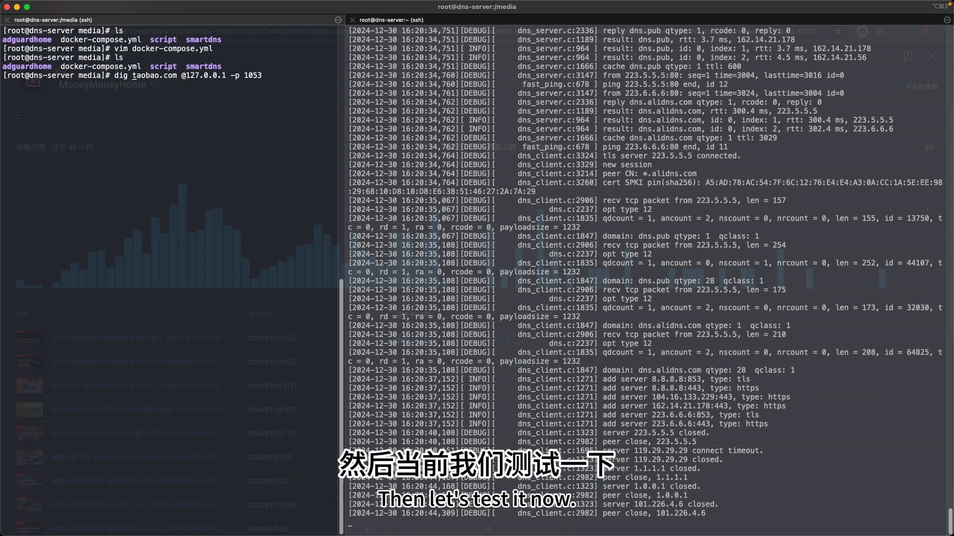 dig 测试淘宝 domestic 分流