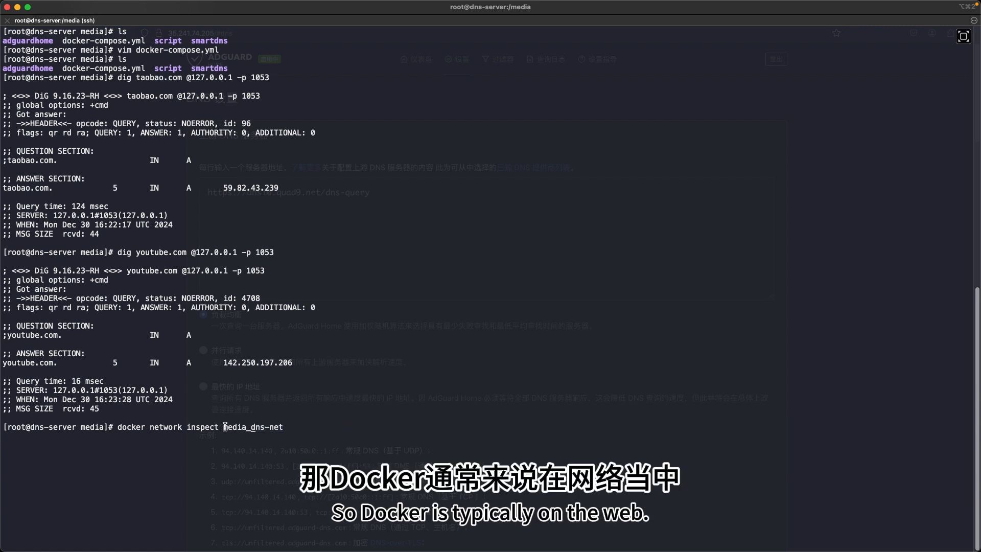 AdGuard DNS 上游 + 防泄露设置