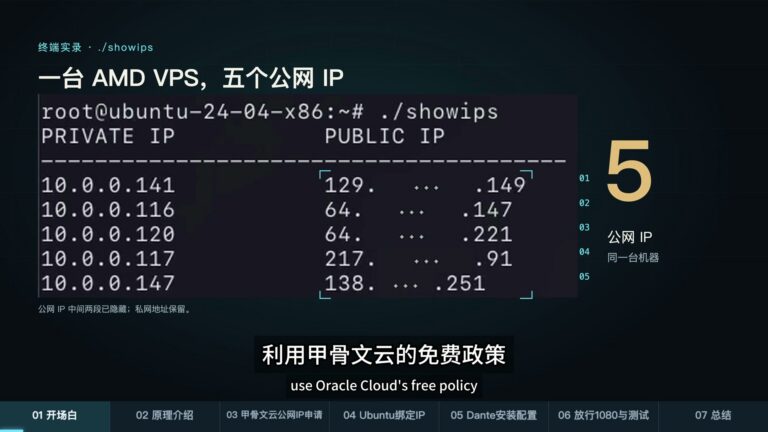 一台 AMD VPS 的五组私网与公网 IP 对照(公网中间两段已隐藏)