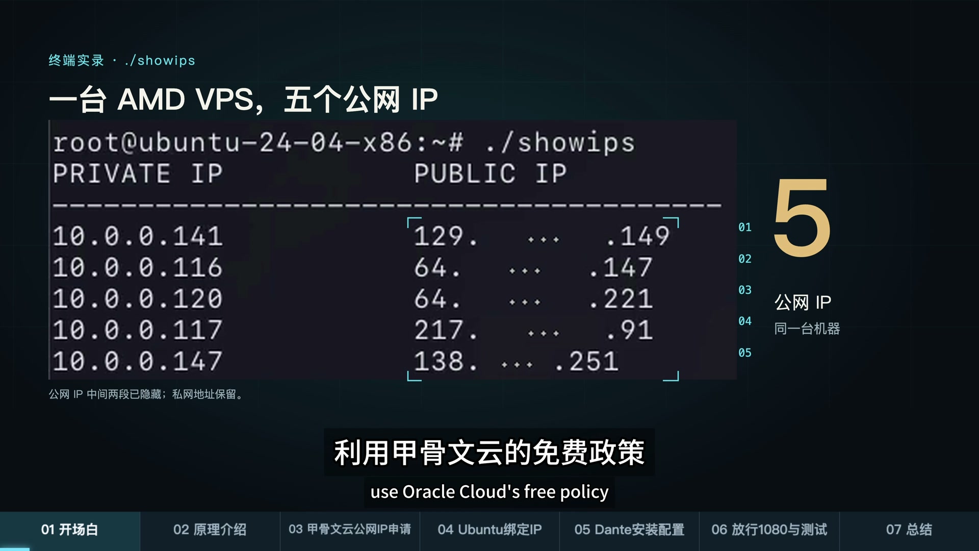 一台 AMD VPS 的五组私网与公网 IP 对照(公网中间两段已隐藏)